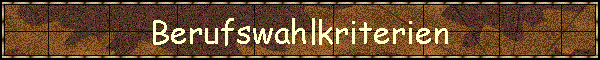 Berufswahlkriterien