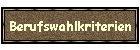 Berufswahlkriterien